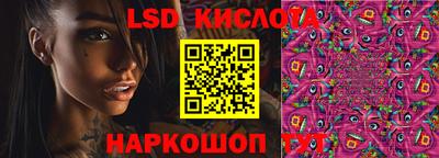 шишки Гатчина