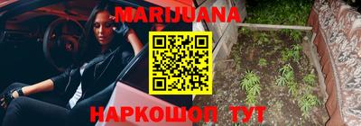 шишки Гатчина