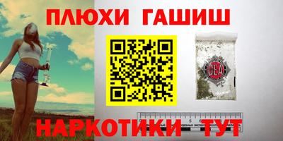 шишки Гатчина
