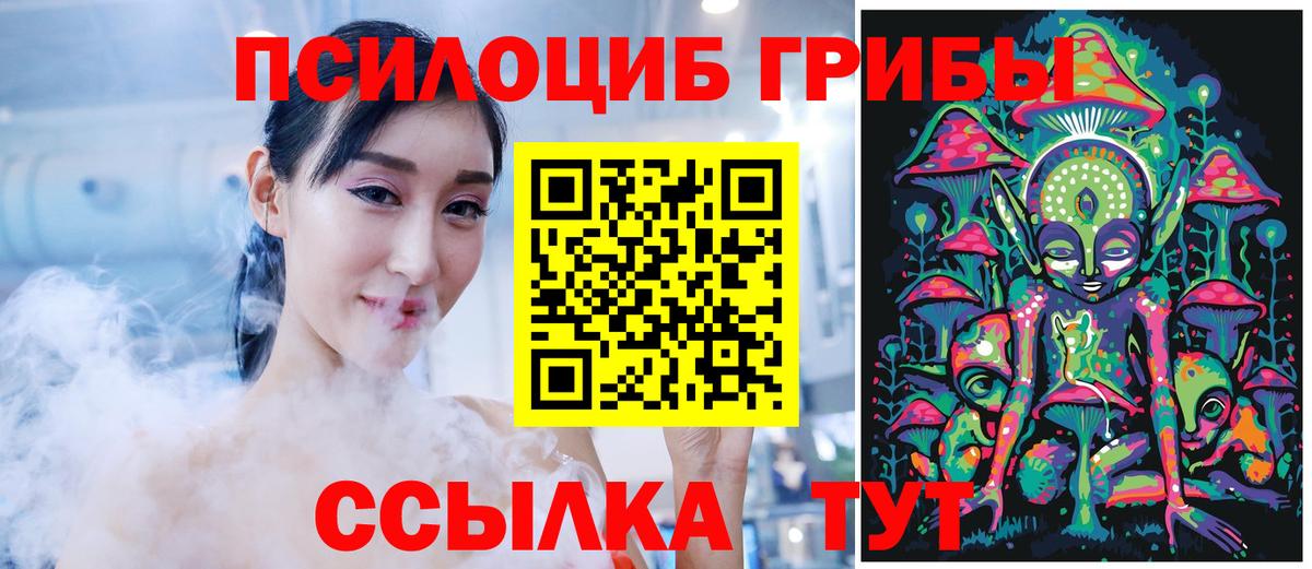 Псилоцибиновые грибы прущие грибы  Вход с VPN  Гуково 